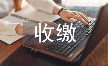 民政局非稅收入收繳管理調(diào)研報告