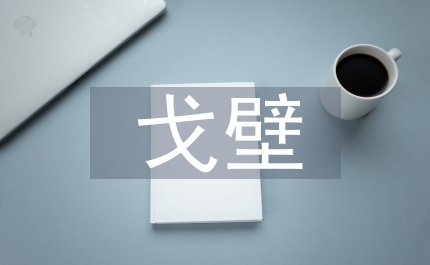 西戈壁鎮(zhèn)基層組織建設匯報
