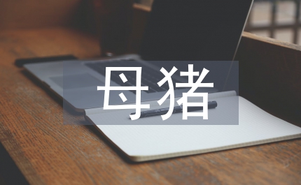 能繁母豬保險(xiǎn)工作方案