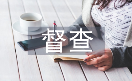 市委督查總結