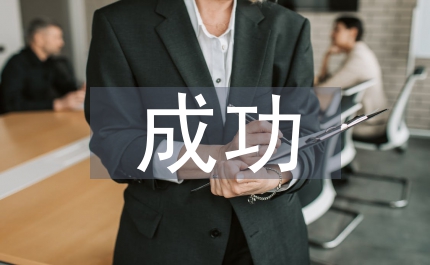 成功案例分析