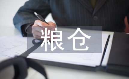 區(qū)糧倉清查工作方案